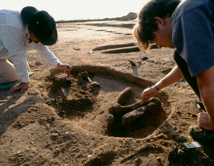 Studenten beim Freilegen eines Hockergrabes im Sommer 2007. 