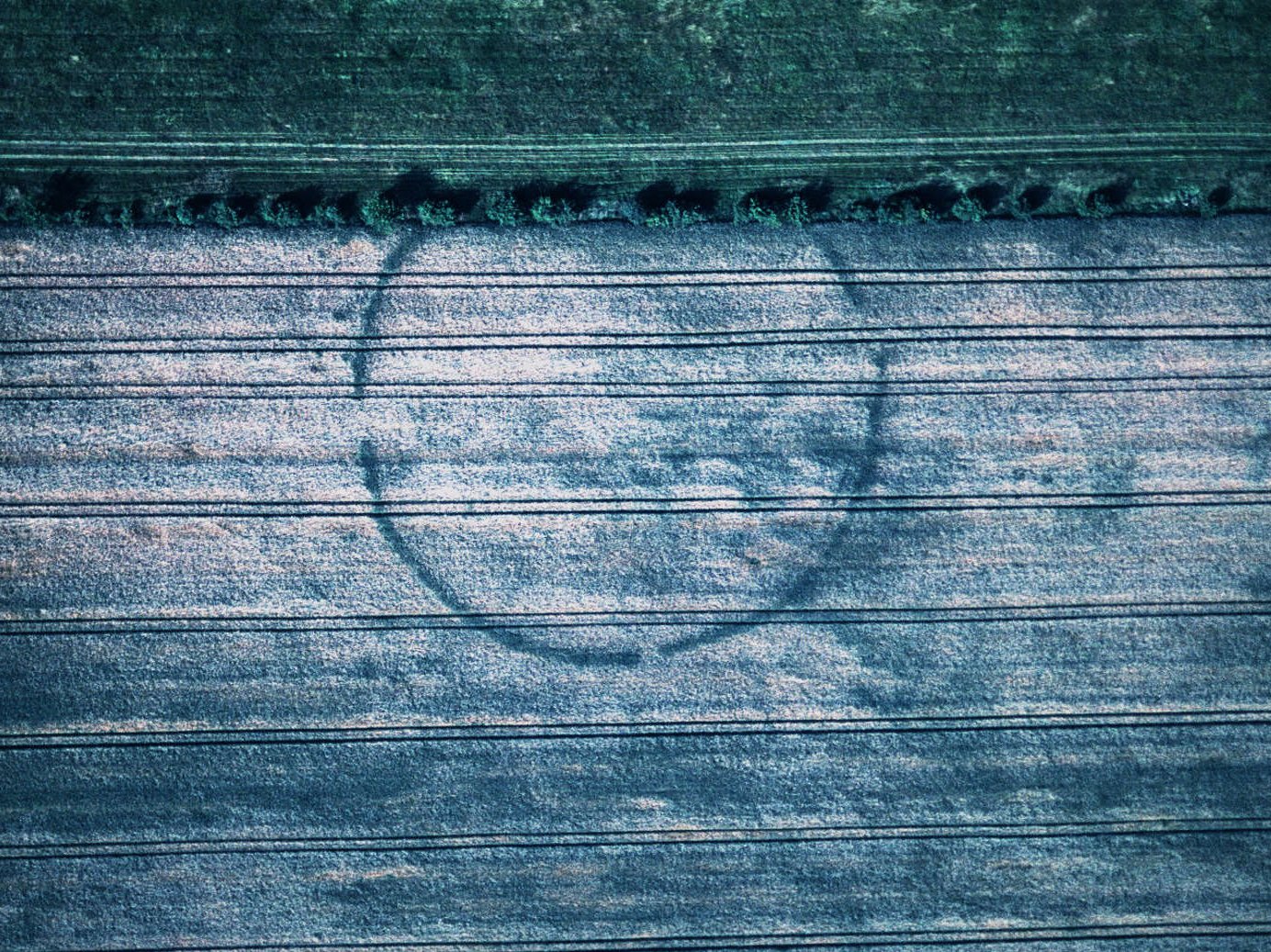 Luftbild der Kreisgrabenanlage von Pömmelte. © LDA, Foto: Ralf Schwarz.