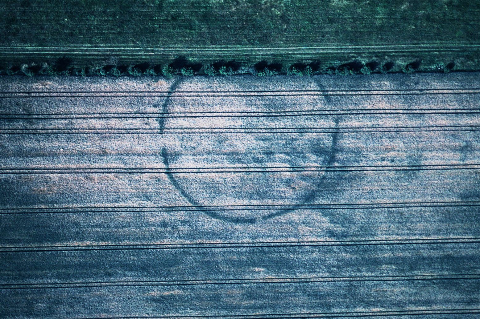 Aerial photograph of the Pömmelte circular ditched enclosure.