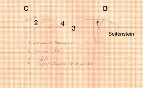Section drawing, Section C–D. Illustration: © LDA.