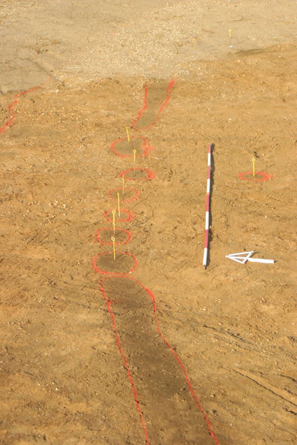 Planumsfoto der Palisade mit lockerer Pfostenstellung