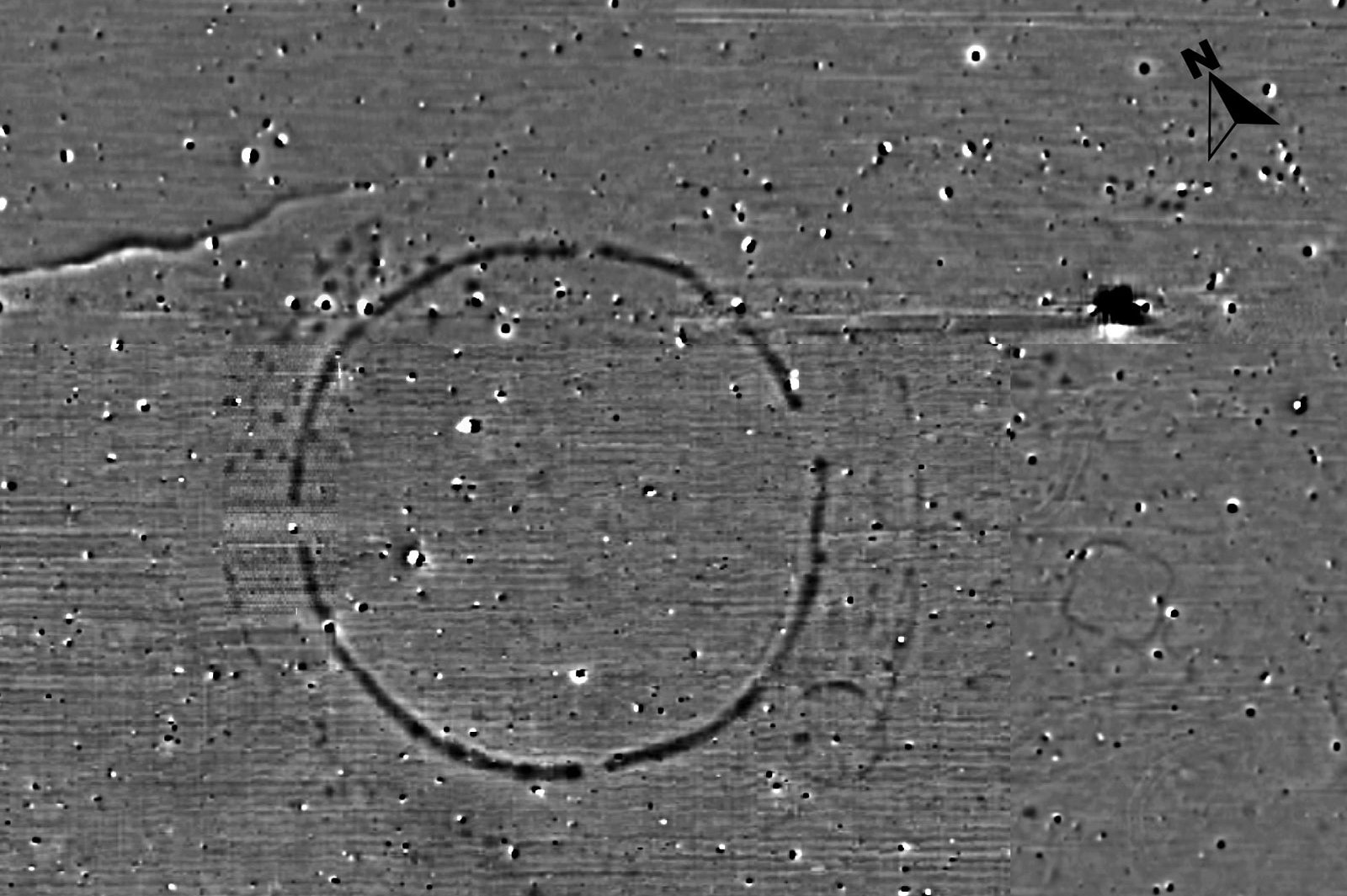 Magnetogramm der Kreisgrabenanlage von Pömmelte-Zackmünde 