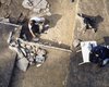 View from above onto the trench with the illegal excavation feature.