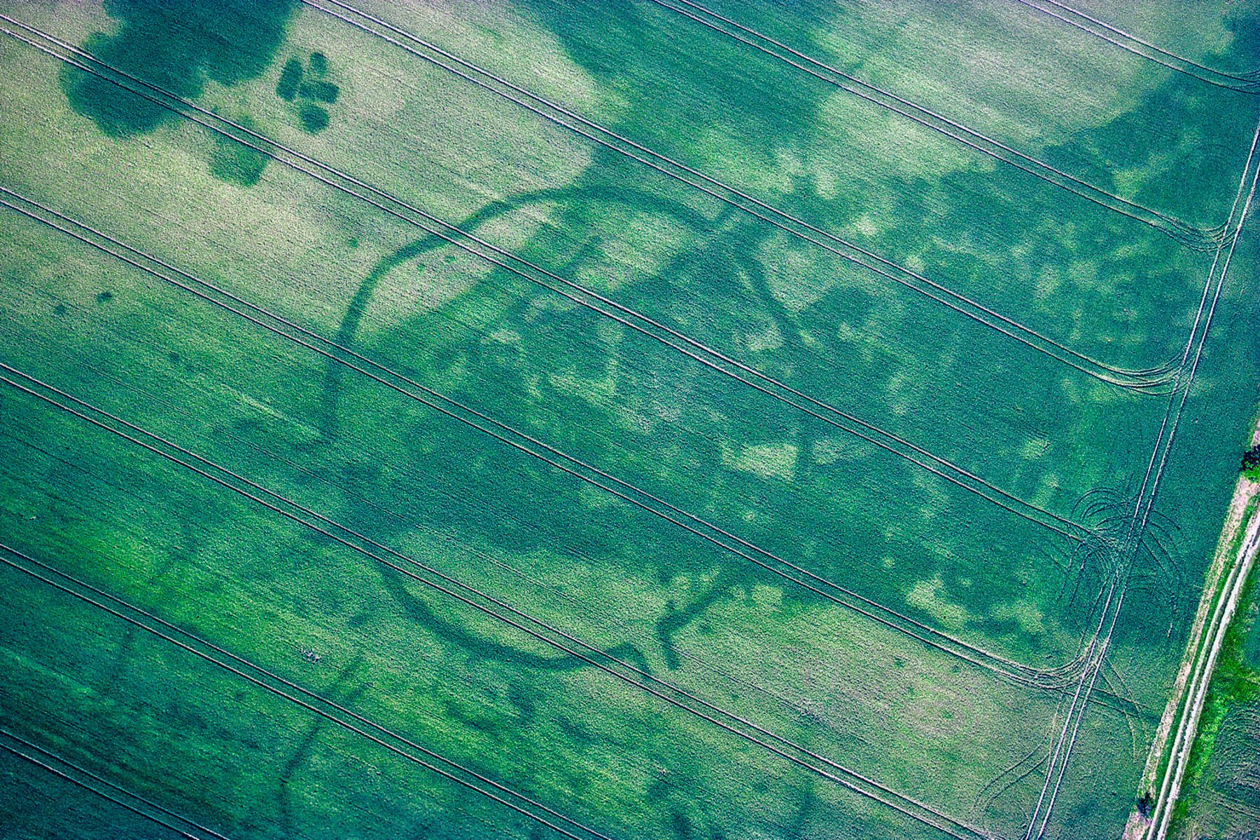 Archäologische Luftbildaufnahme der Kreisgrabenanlage von Goseck. © LDA, Foto: R. Schwarz.