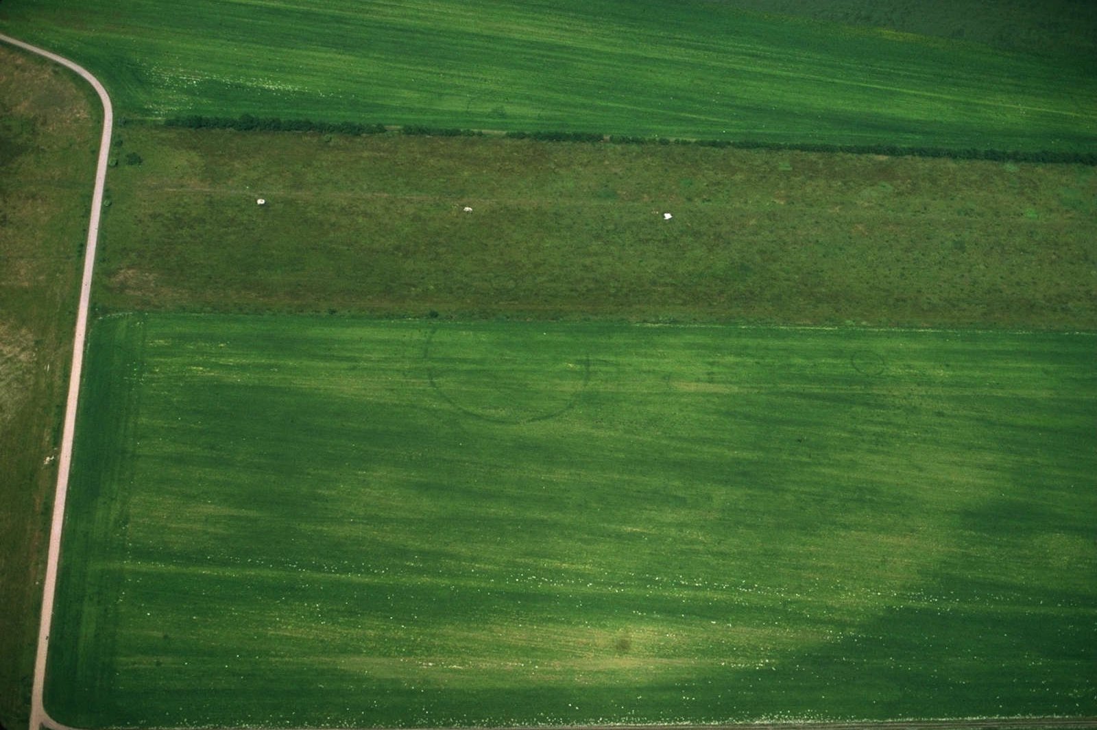 Die Kreisgrabenanlage von Pömmelte im Luftbild. © LDA, Foto: Ralf Schwarz.