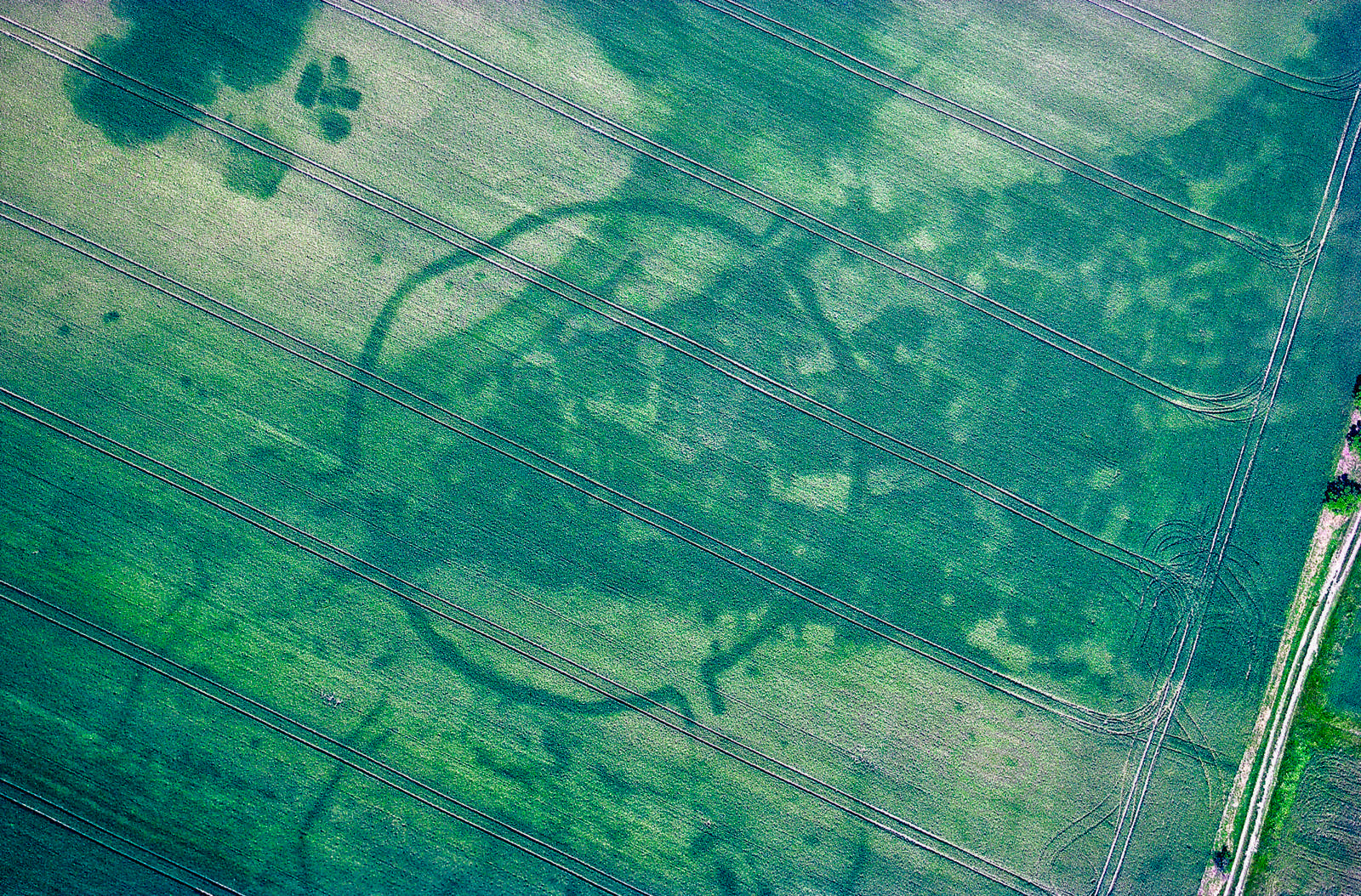 Archäologisches Luftbild der neolithischen Kreisgrabenanlage Goseck. 