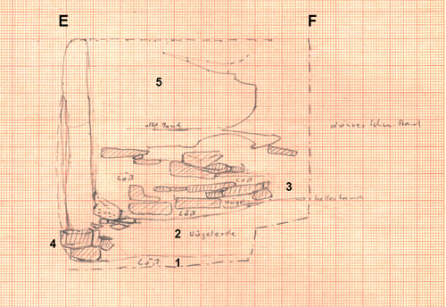 Section drawing, Section E–F. Illustration: © LDA.