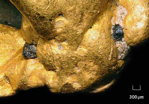 3D microscope image of the surface of a nugget from the River Carnon.