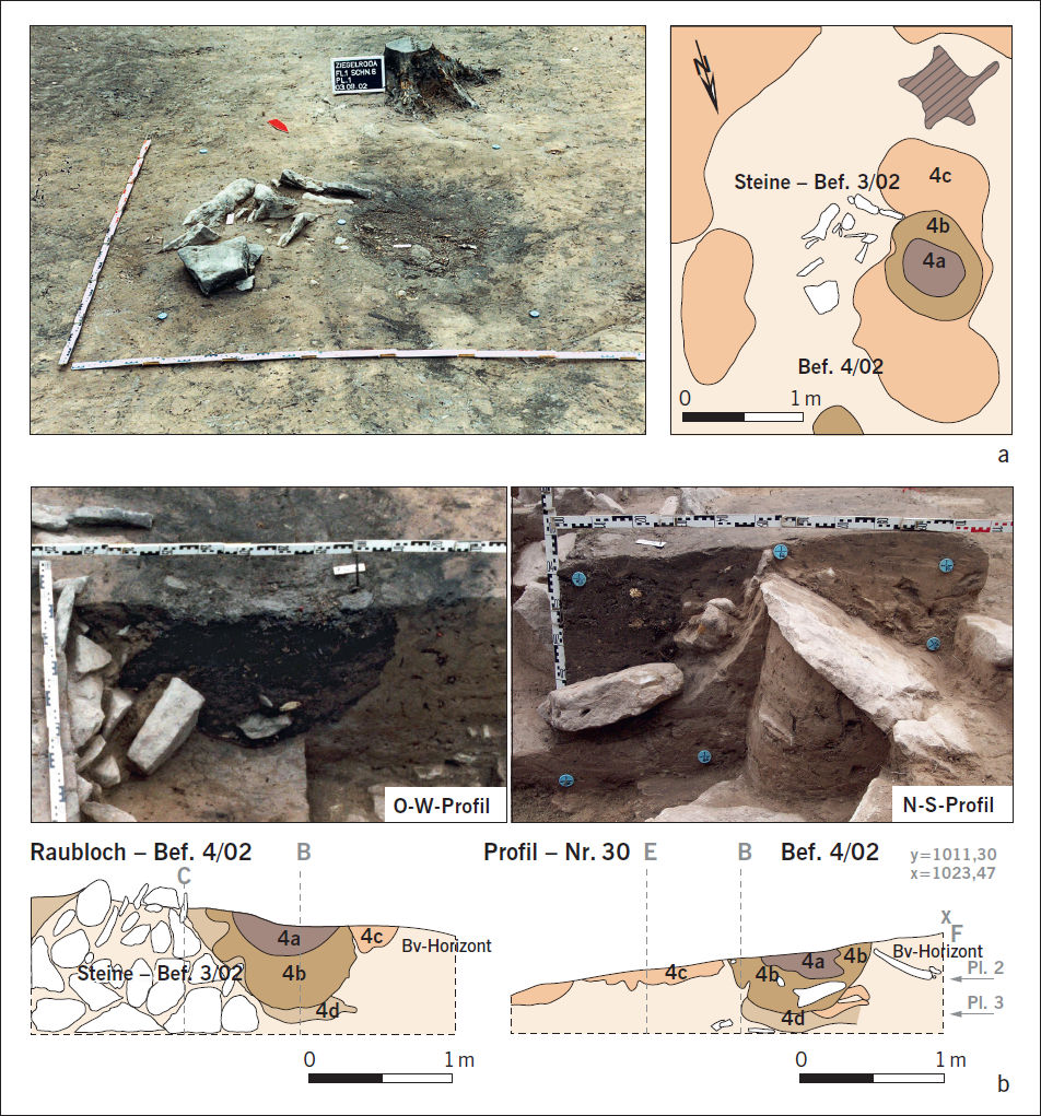 Archaeological documentation of the looter´s pit feature Befund 4/02 on the Mittelberg hill near Nebra 2002. a) Planum in a photo (left) and drawing (right). b) East-West section (left) and North-South section (right) in photo and drawing. The pit-like feature consists of three layers (4a – c). The core (4a) consisted of fresh leaves, wood, and humus remains. The surrounding pit filling (4b) contained less recent organic components. In contrast to the adjacent material of the humification horizon, the area around the pit (4c) had a brown colour. Below the pit, high copper and gold concentrations could be measured in the undisturbed, banded clay erosion layer (4d). The stone packing east of the pit could be identified as a natural geological phenomenon.