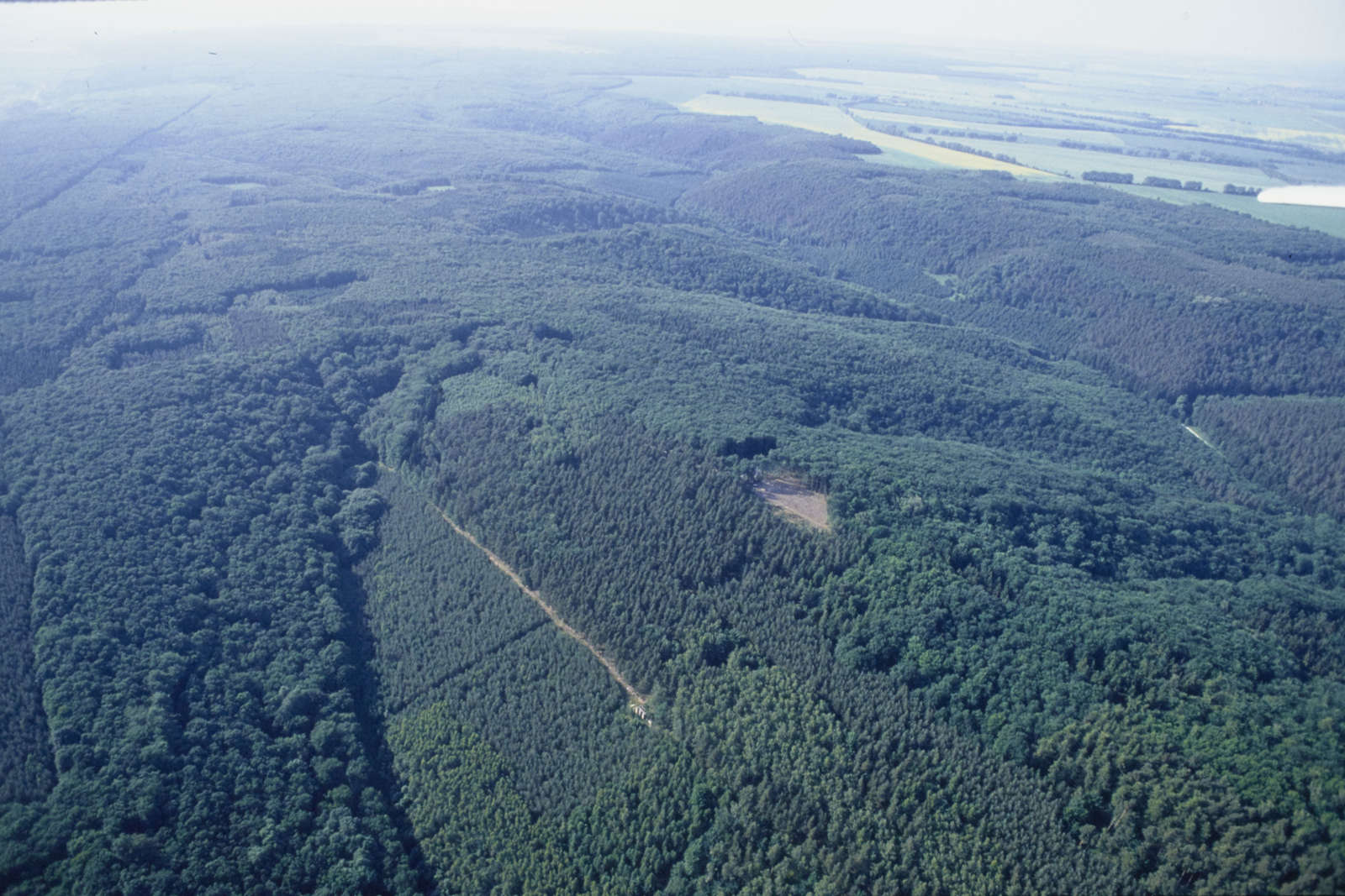 The Mittelberg hill near Nebra, aerial photograph.